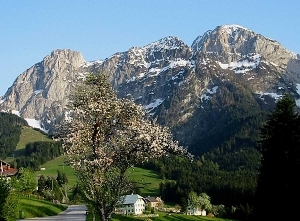 Fruehling in Abtenau